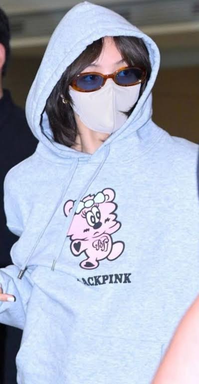 Verdy X Blackpink Born Pink
Plush Oversized Hoodie in Grey